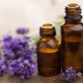 lavender oils cover