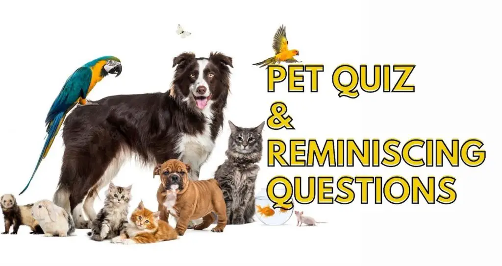 Pet Quiz Reminiscing Questions For Seniors